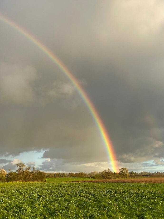 ASTROLOGICAL WEATHER | NOVEMBER 2–8 2025