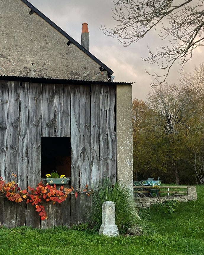 ASTROLOGICAL WEATHER |TAROT and RITUAL | NOVEMBER 9-15 2025