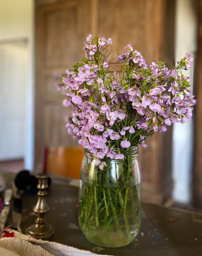 COURAGE and PACE under a NEW MOON